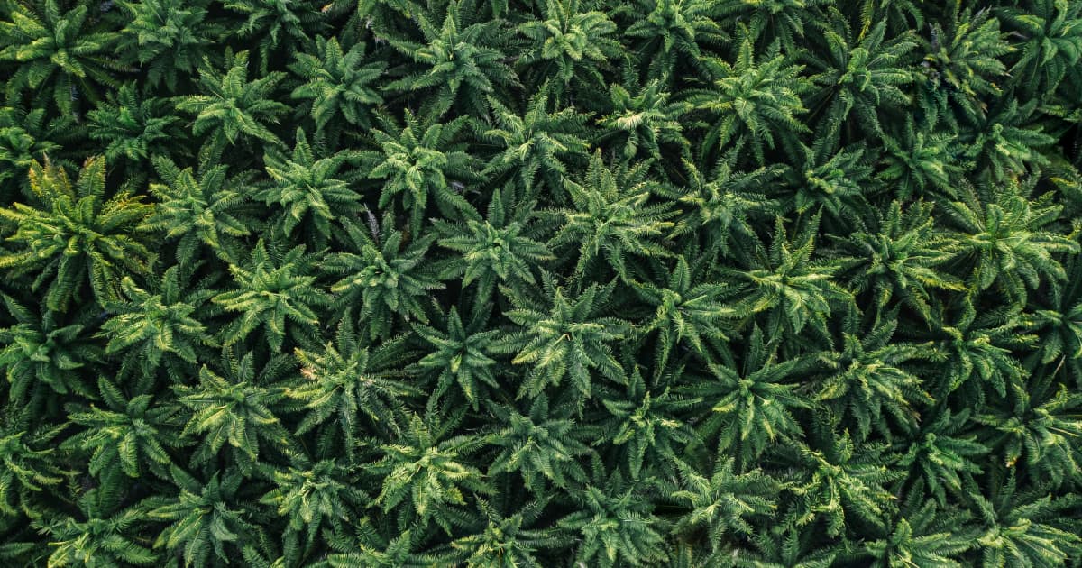 Kentucky Officials Push Lawmakers to Expand Medical Marijuana Program