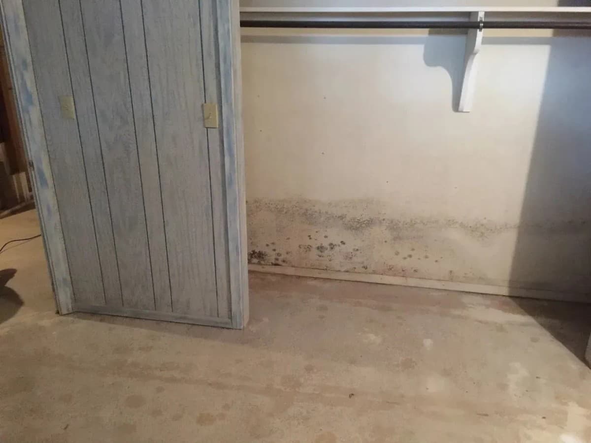 FreshCo Cleaning & Restoration Expands Mold Remediation Services in Wichita with Comprehensive Inspection and Air Quality Focus