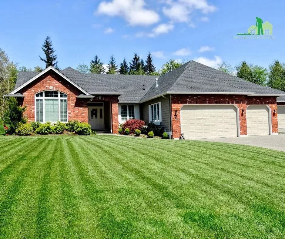 Lawn Care of Saint Johns Expands with Pet-Safe Product Options