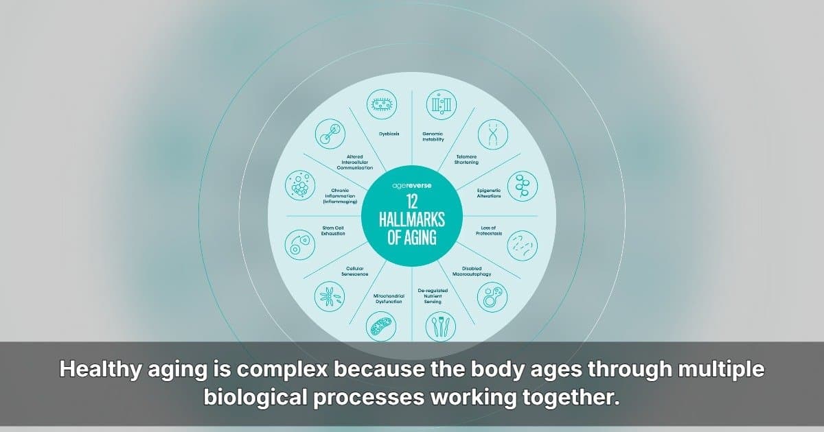 AgeReverse Plans U.S. Expansion With Comprehensive Healthy Aging Approach