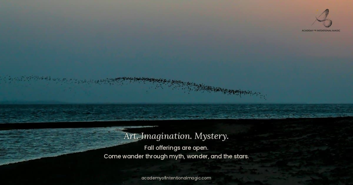 Academy of Intentional Magic Launches as a Multidisciplinary Creative Commons