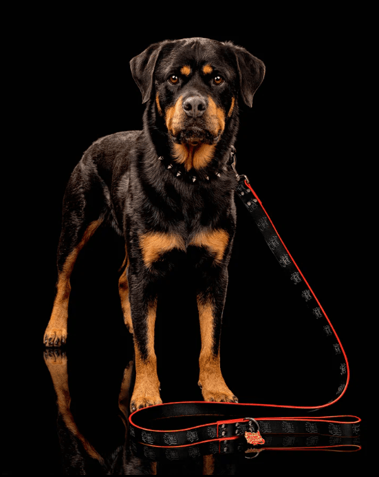 Freak On a Leash Expands Leather Dog Gear Line for Alternative Pet Owners