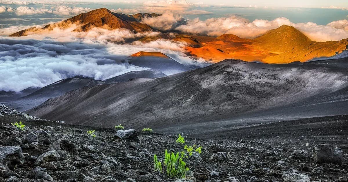This Week Hawaii Celebrates 60 Years with Hybrid Media Expansion and Digital Tracking Tools