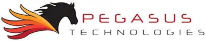 Pegasus Technologies Participates in Greater West Chester Chamber Annual Quest for the Chamber Cup